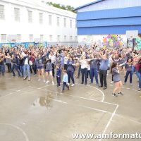IMG_8239