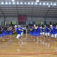 ZAP_1029