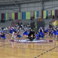 ZAP_1037