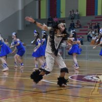 ZAP_1057