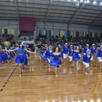 ZAP_1137