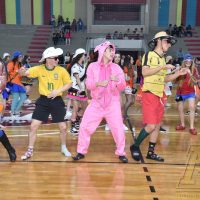 ZAP_1217