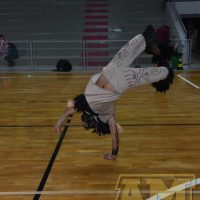ZAP_1305