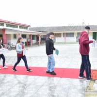 ZAP_2310