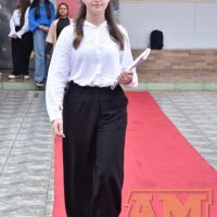 ZAP_2334