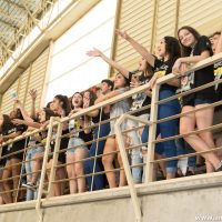 IMG_0881