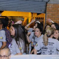 IMG_1106 (Custom)