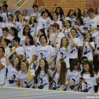 IMG_1138 (Custom)