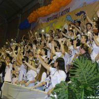 IMG_1152 (Custom)