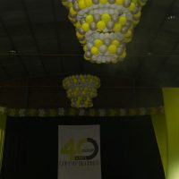 IMG_1176 (Custom)
