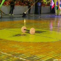 IMG_1238 (Custom)