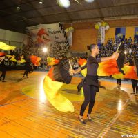 IMG_1368 (Custom)