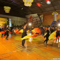 IMG_1370 (Custom)