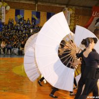 IMG_1382 (Custom)