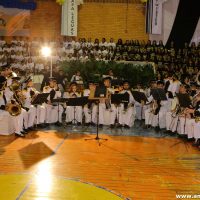 IMG_1461 (Custom)