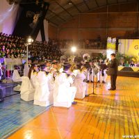 IMG_1487 (Custom)