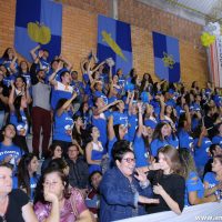 IMG_2908 (Custom)