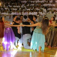 IMG_2953 (Custom)