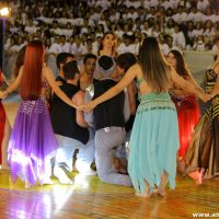IMG_2954 (Custom)