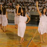 IMG_3087 (Custom)