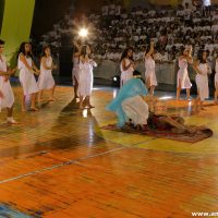 IMG_3094 (Custom)