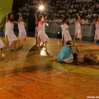 IMG_3095 (Custom)