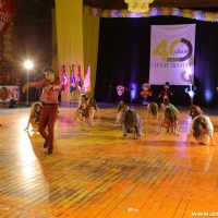 IMG_3241 (Custom)