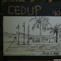 IMG_3413 (Custom)