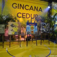 IMG_3415 (Custom)