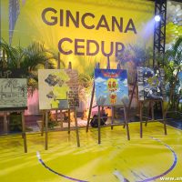 IMG_3416 (Custom)