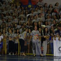 IMG_3650 (Custom)