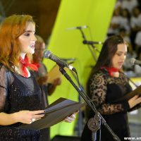 IMG_3689 (Custom)