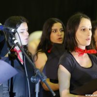 IMG_3692 (Custom)