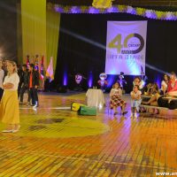 IMG_3988 (Custom)