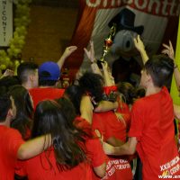 IMG_4274 (Custom)