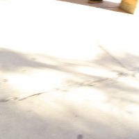 IMG_1517