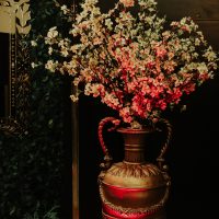 WES_9554