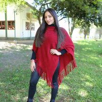 GUI_9689