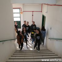 IMG_7201