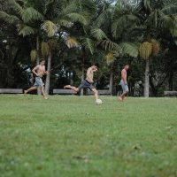 WES_3945