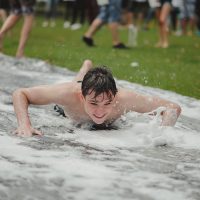 WES_4453