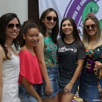 GUI_7379