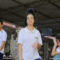IMG_6136