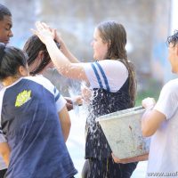 IMG_6153