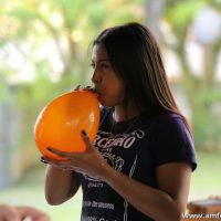 IMG_6546
