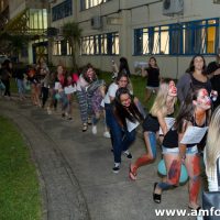 233AM Formaturas