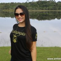 GUI_8483