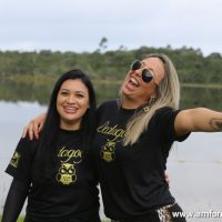 GUI_8504
