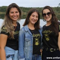 GUI_8517