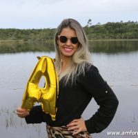 GUI_8590